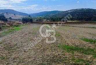 BURSA YENİŞEHİR 'DE 3800 M2 MÜSTAKİL TAPULU SATILIK ARSA - 1 - 321415