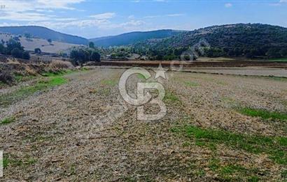 BURSA YENİŞEHİR 'DE 3800 M2 MÜSTAKİL TAPULU SATILIK ARSA