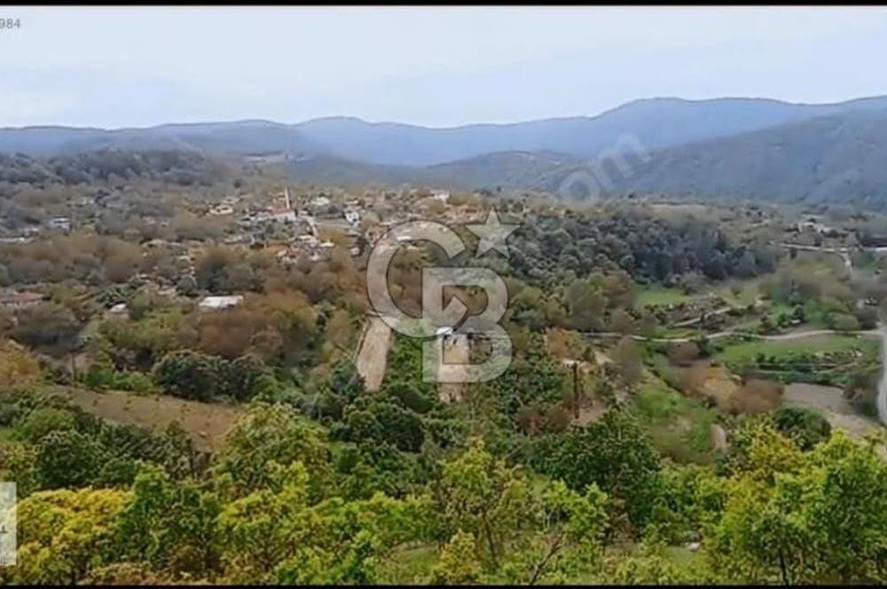 YALOVA ALTINOVA SERMAYECİK KÖYÜ YOLA CEPHELİ FIRSAT ARSA!!