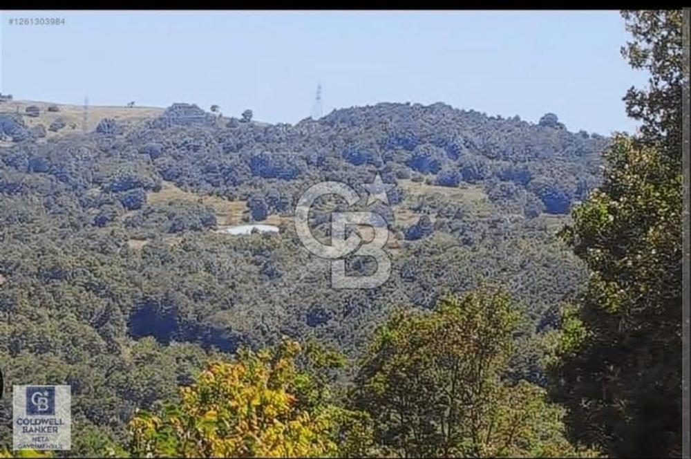 YALOVA ALTINOVA SERMAYECİK KÖYÜ YOLA CEPHELİ FIRSAT ARSA!!