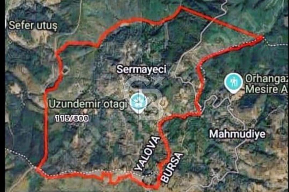 YALOVA ALTINOVA SERMAYECİK KÖYÜ YOLA CEPHELİ FIRSAT ARSA!!