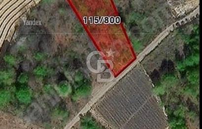 YALOVA ALTINOVA SERMAYECİK KÖYÜ YOLA CEPHELİ FIRSAT ARSA!!