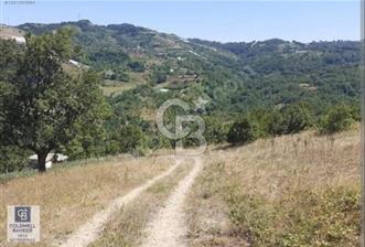 YALOVA ALTINOVA SERMAYECİK KÖYÜ YOLA CEPHELİ FIRSAT ARSA!! - 3 - 321420