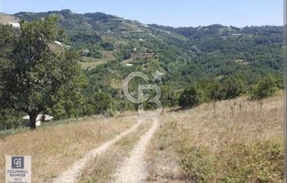 YALOVA ALTINOVA SERMAYECİK KÖYÜ YOLA CEPHELİ FIRSAT ARSA!!