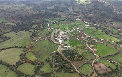 Hacıgelen Bağlı koru Köyü, Lapseki / Çanakkale