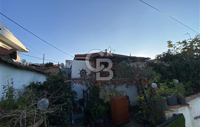 Urla Zeytinalani Merkez Satilik Arsa