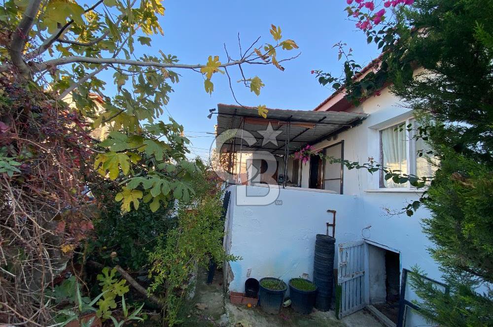 Urla Zeytinalani Merkez Satilik Arsa