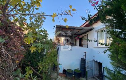 Urla Zeytinalani Merkez Satilik Arsa