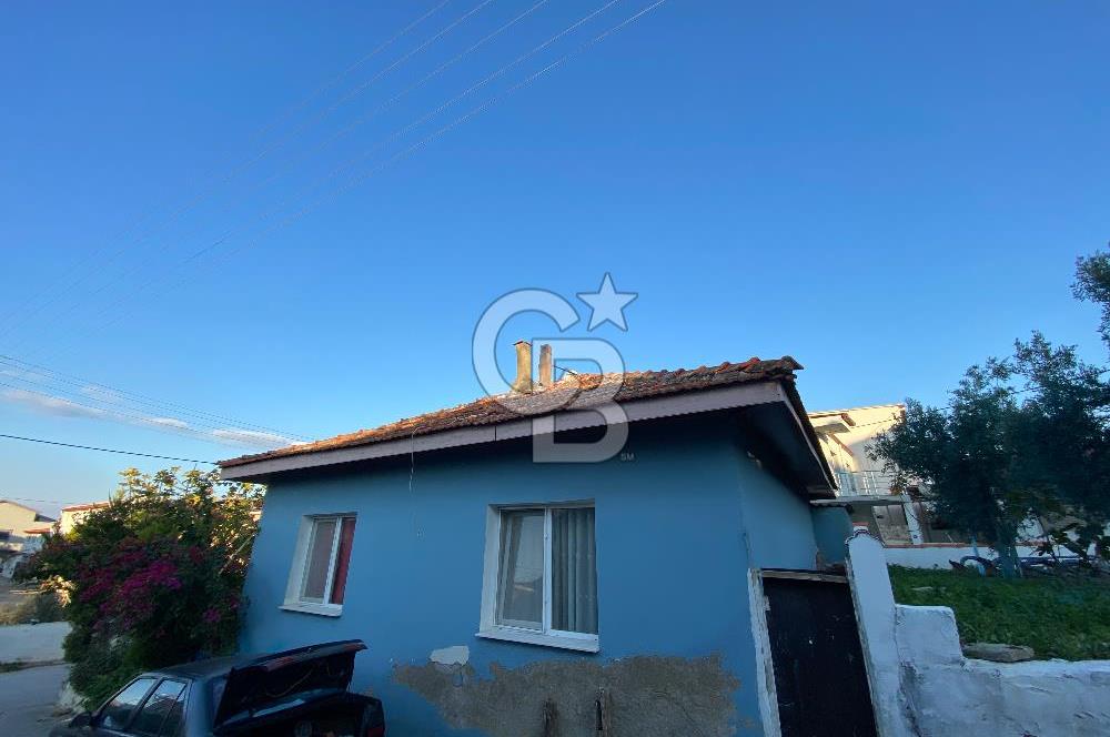 Urla Zeytinalani Merkez Satilik Arsa