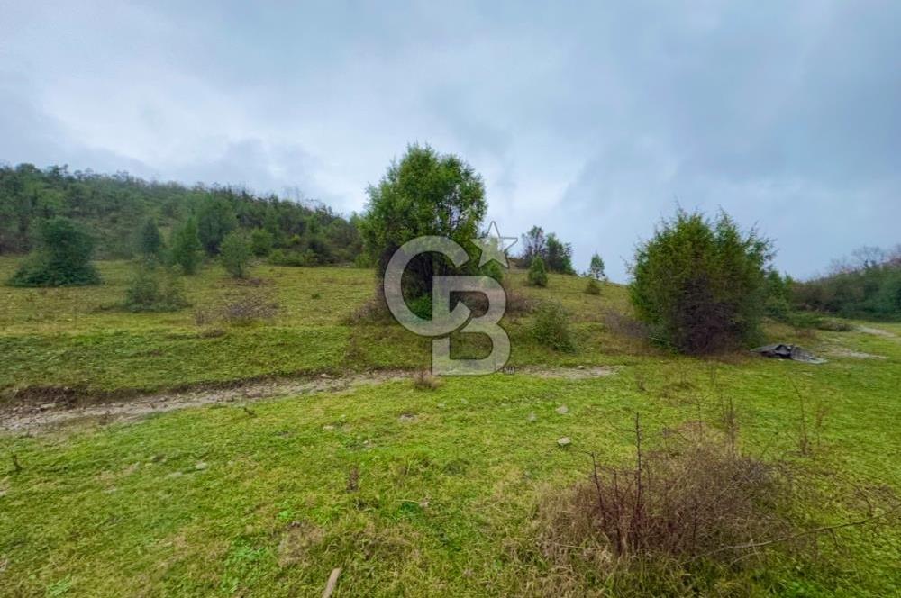 ŞİLE AĞVA GÖKSU'DA MÜSTAKİL TAPU YATIRIMA UYGUN SATILIK TARLA