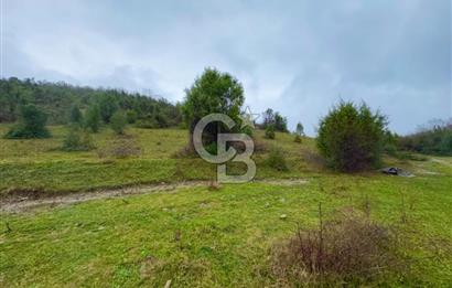 ŞİLE AĞVA GÖKSU'DA MÜSTAKİL TAPU YATIRIMA UYGUN SATILIK TARLA