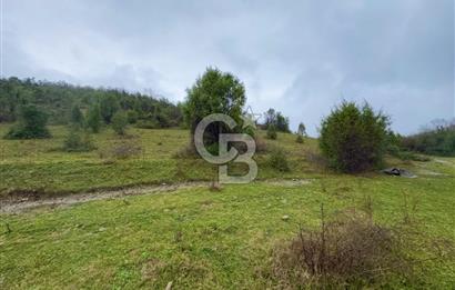 ŞİLE AĞVA GÖKSU'DA MÜSTAKİL TAPU YATIRIMA UYGUN SATILIK TARLA