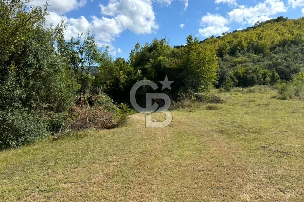 ŞİLE AĞVA GÖKSU'DA MÜSTAKİL TAPU YATIRIMA UYGUN SATILIK TARLA