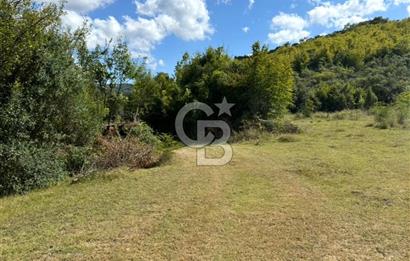 ŞİLE AĞVA GÖKSU'DA MÜSTAKİL TAPU YATIRIMA UYGUN SATILIK TARLA