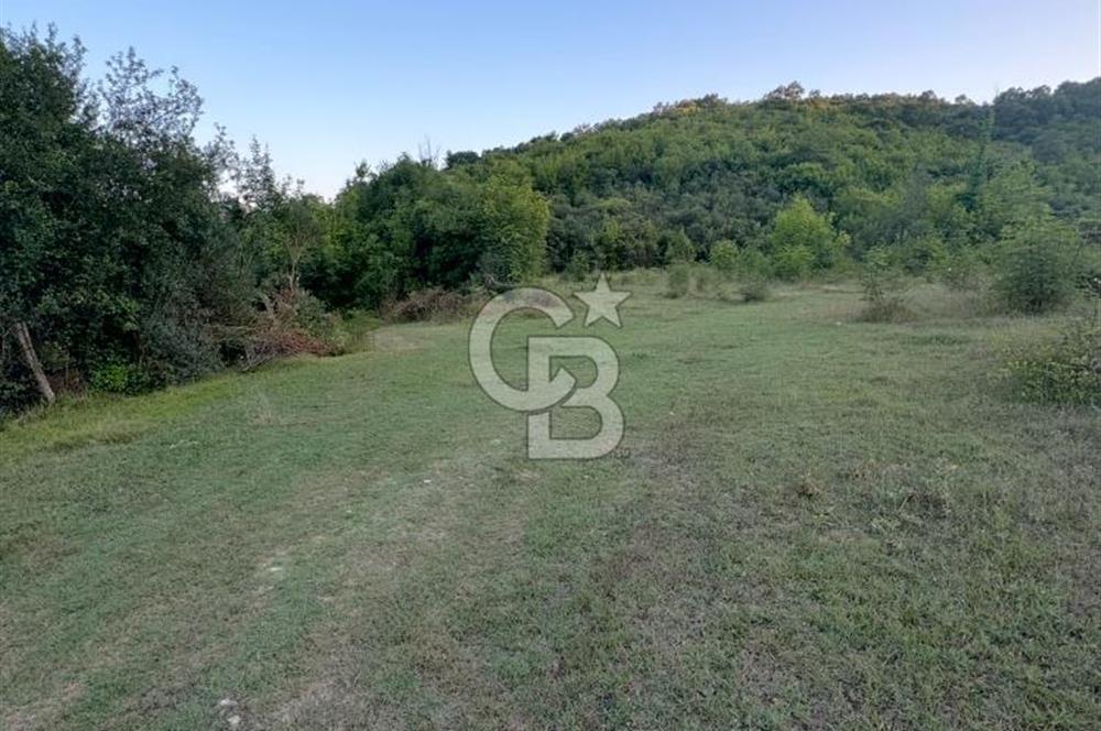 ŞİLE AĞVA GÖKSU'DA MÜSTAKİL TAPU YATIRIMA UYGUN SATILIK TARLA