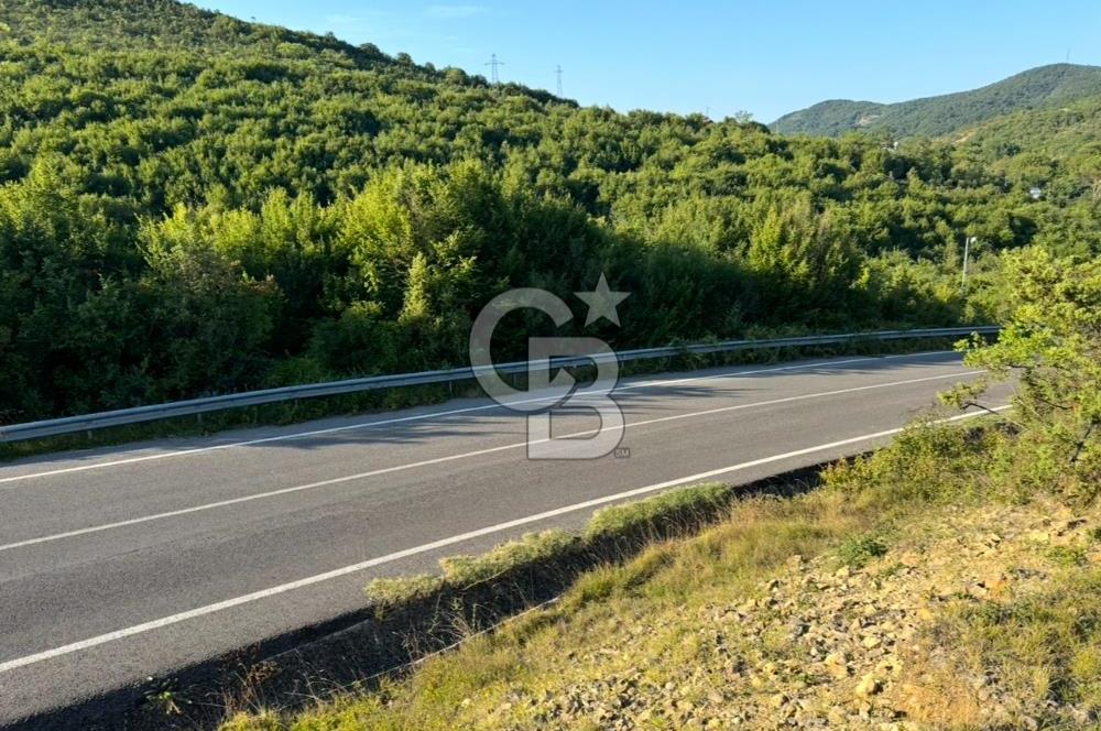 ŞİLE AĞVA GÖKSU'DA MÜSTAKİL TAPU YATIRIMA UYGUN SATILIK TARLA