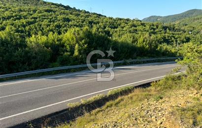 ŞİLE AĞVA GÖKSU'DA MÜSTAKİL TAPU YATIRIMA UYGUN SATILIK TARLA