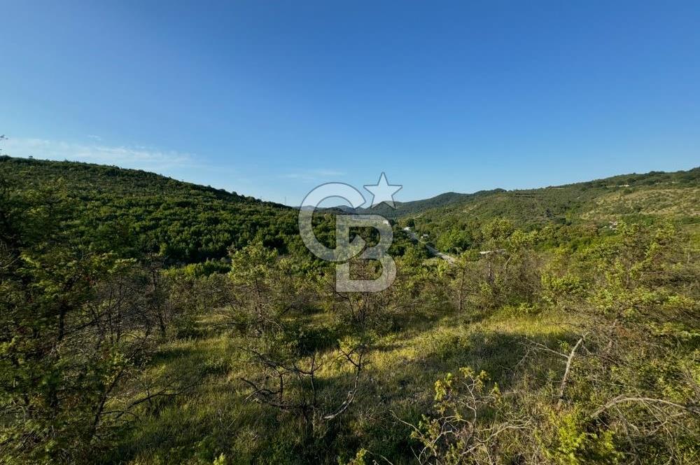 ŞİLE AĞVA GÖKSU'DA MÜSTAKİL TAPU YATIRIMA UYGUN SATILIK TARLA