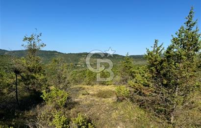 ŞİLE AĞVA GÖKSU'DA MÜSTAKİL TAPU YATIRIMA UYGUN SATILIK TARLA