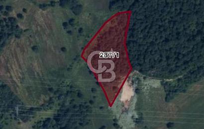 KOCAELİ KÖRFEZ HİMMETLİ'DE 7900M2 YOLA CEPHELİ ARAZİ