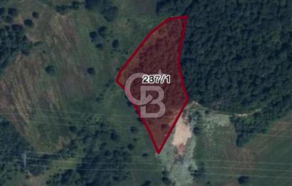 KOCAELİ KÖRFEZ HİMMETLİ'DE 5.508 M2 YOLA CEPHELİ MERKEZİ KONUMDA