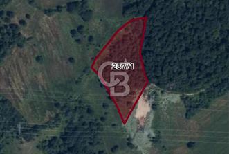 KOCAELİ KÖRFEZ HİMMETLİ'DE 7900M2 YOLA CEPHELİ ARAZİ - 10 - 321442