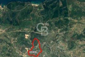 ACİL SATILIK TARLA YÜKSEK GETİRİ POTANSİYELİ DERİNCE / TOYLER - 3 - 321464