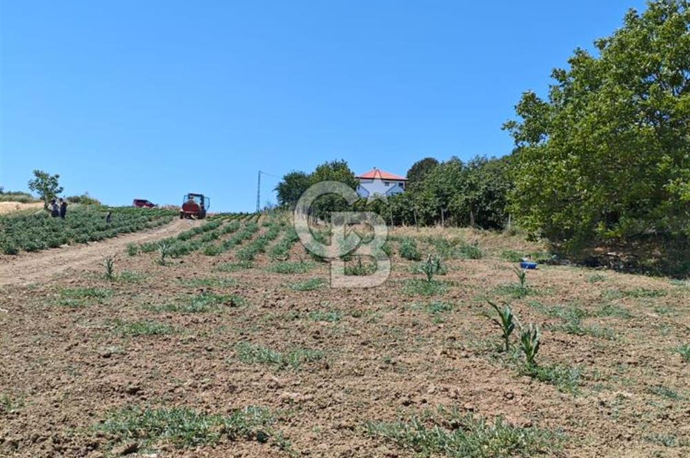 İZMİT KANDIRA NEFSİYADEŞ'TE 2.293 M2 MÜSTAKİL TAPULU SATILK ARSA