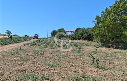 İZMİT KANDIRA NEFSİYADEŞ'TE 2.293 M2 MÜSTAKİL TAPULU SATILK ARSA