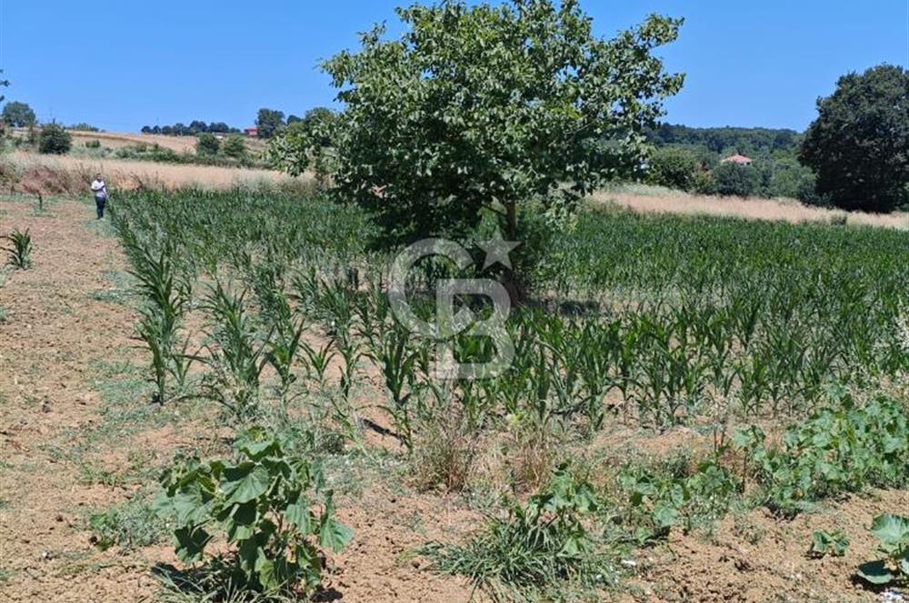 İZMİT KANDIRA NEFSİYADEŞ'TE 2.293 M2 MÜSTAKİL TAPULU SATILK ARSA