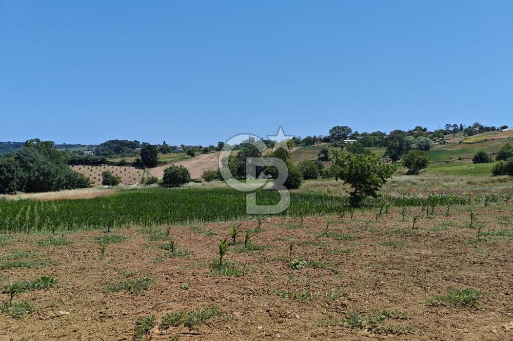 İZMİT KANDIRA NEFSİYADEŞ'TE 2.293 M2 MÜSTAKİL TAPULU SATILK ARSA