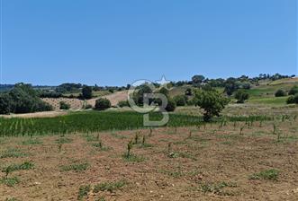 İZMİT KANDIRA NEFSİYADEŞ'TE 2.293 M2 MÜSTAKİL TAPULU SATILK ARSA - 6 - 321454