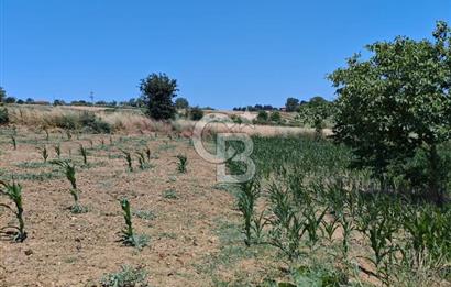 İZMİT KANDIRA NEFSİYADEŞ'TE 2.293 M2 MÜSTAKİL TAPULU SATILK ARSA