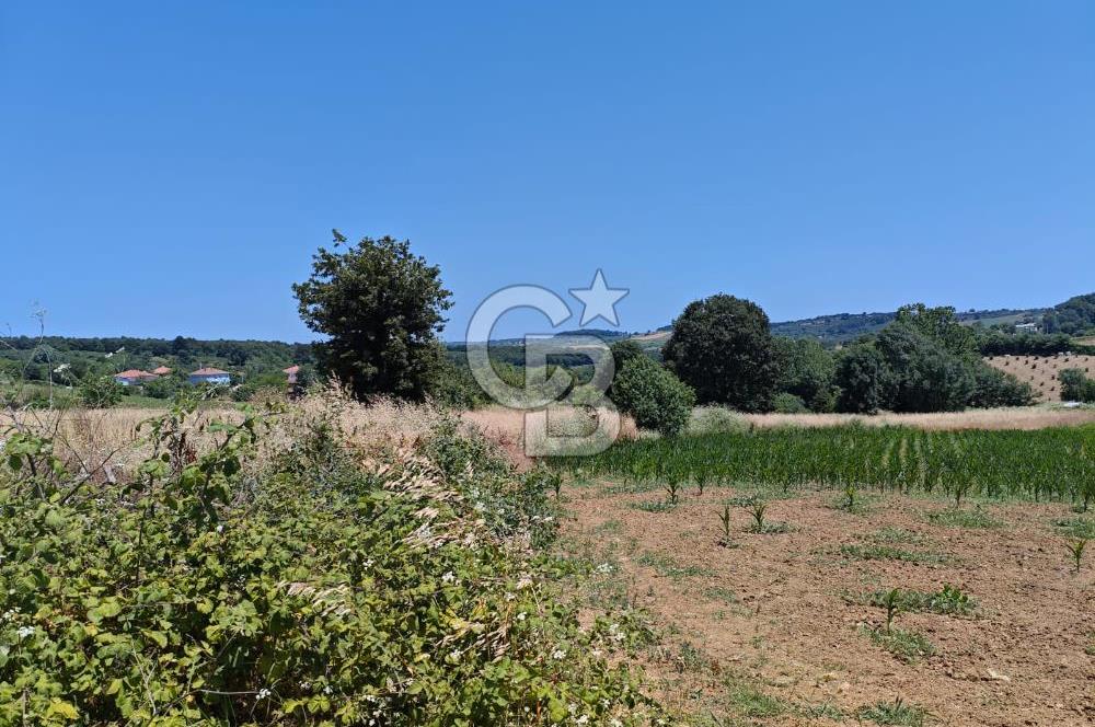 İZMİT KANDIRA NEFSİYADEŞ'TE 2.293 M2 MÜSTAKİL TAPULU SATILK ARSA