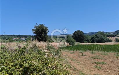 İZMİT KANDIRA NEFSİYADEŞ'TE 2.293 M2 MÜSTAKİL TAPULU SATILK ARSA