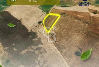 KIRKLARELİ PEHLİVANKÖY KUŞTEPE KÖYE 200 MT  - 5 - 321456