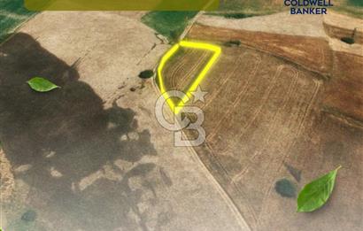 KIRKLARELİ PEHLİVANKÖY KUŞTEPE KÖYE 200 MT 