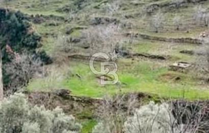 İZMİR TİRE'DE 2000 M2 SATILK ARSA