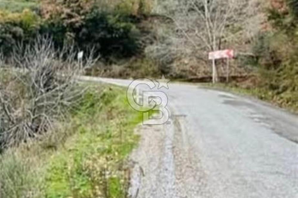 İZMİR TİRE'DE 2000 M2 SATILK ARSA