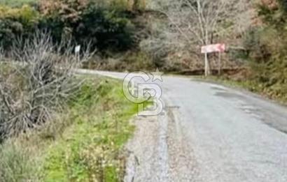 İZMİR TİRE'DE 2000 M2 SATILK ARSA