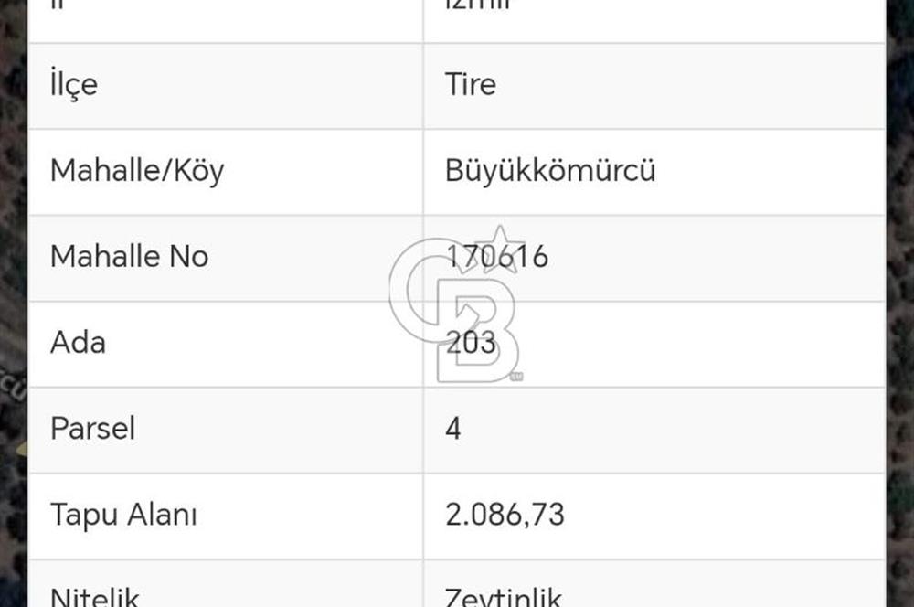 İZMİR TİRE'DE 2000 M2 SATILK ARSA