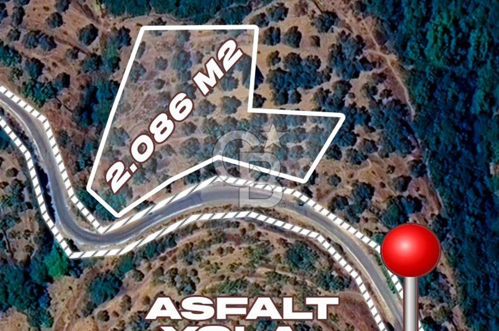 İZMİR TİRE'DE 2000 M2 SATILK ARSA