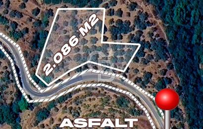 İZMİR TİRE'DE 2000 M2 SATILK ARSA