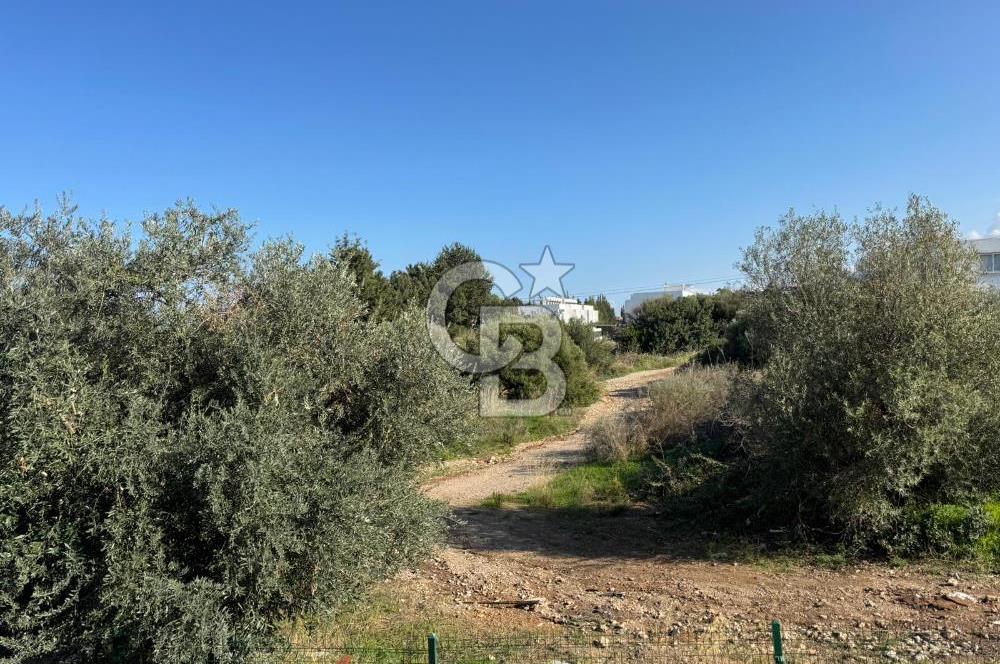 Kaçırılmayacak Fırsat Kıbrıs Girne Karaoğlanoğlun da Satılık 1+1 Daire