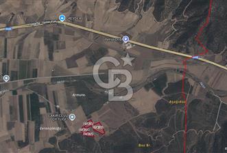 Bozkurt'ta 40 Dönüm Satılık Tarla - 3 - 321505