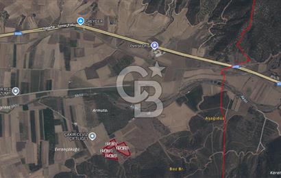 Bozkurt'ta 40 Dönüm Satılık Tarla