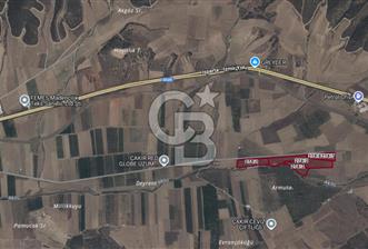 Bozkurt'ta 86.772M² İşleyen Ceviz Tesisi - 4 - 321503