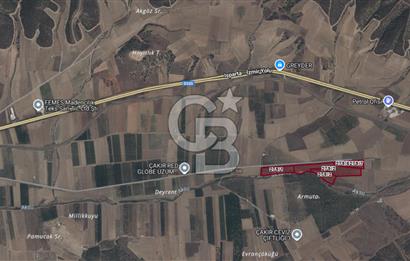 Bozkurt'ta 86.772M² İşleyen Ceviz Tesisi