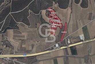 Bozkurt'ta 66 Dönüm İşleyen Ceviz Tarlası - 8 - 321511