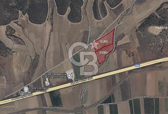 Bozkurt Ana Yola Yakın 38.982M² Satılık Ceviz Tarlası - 10 - 321509